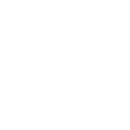 Bitcoin Globe Icon
